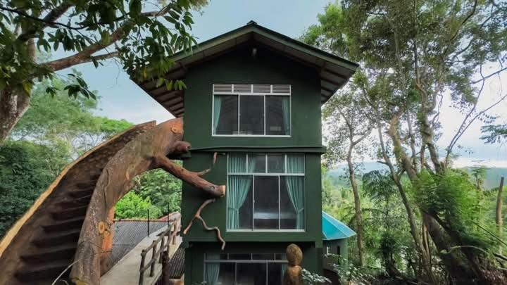 Green eco lodge surrounded by tropical jungle